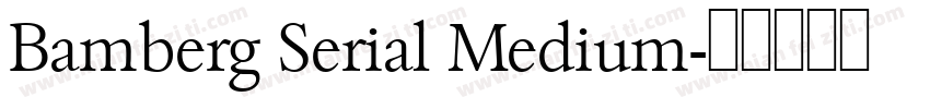 Bamberg Serial Medium字体转换